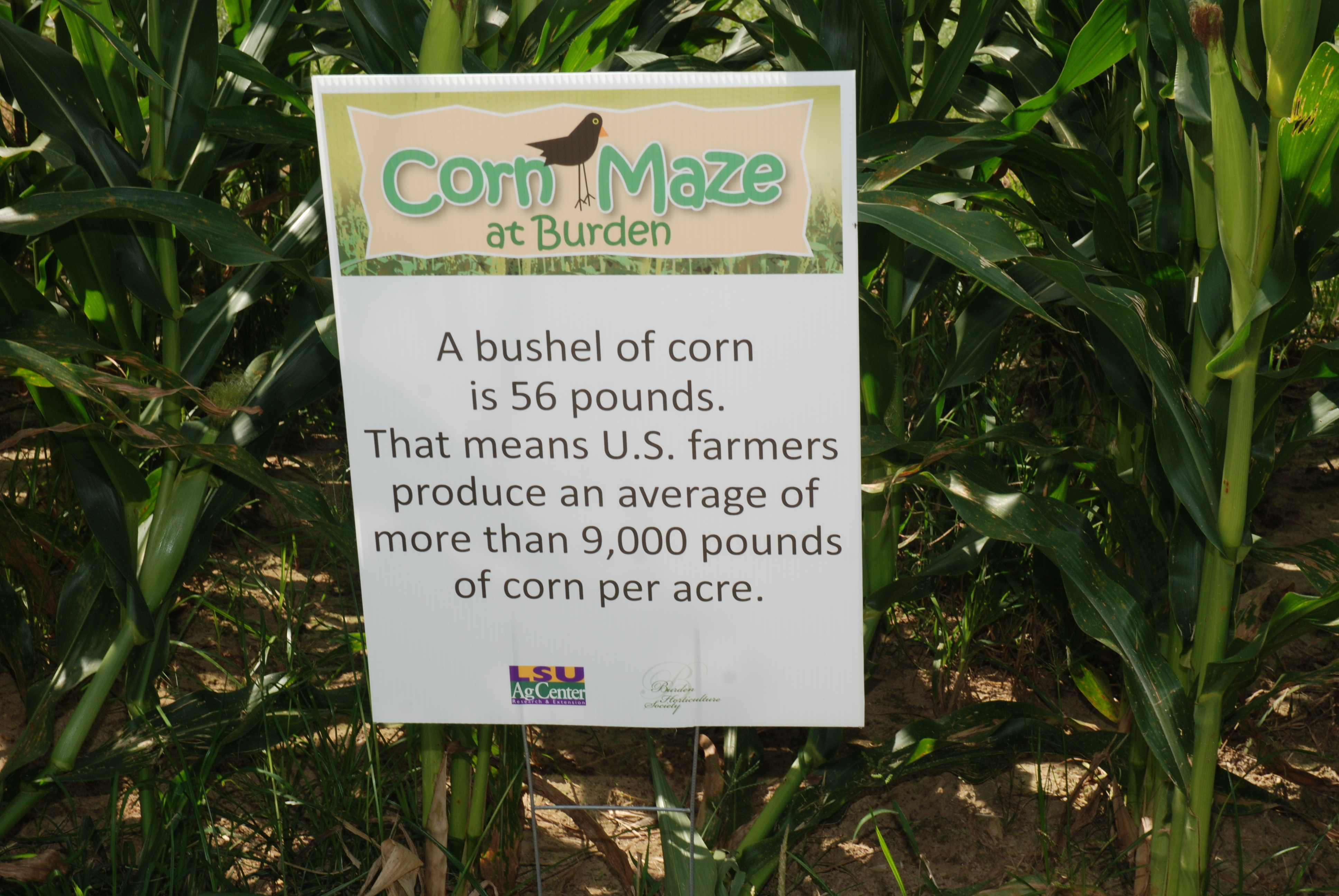 AgCenter receives $150,000 donation from Nutrien